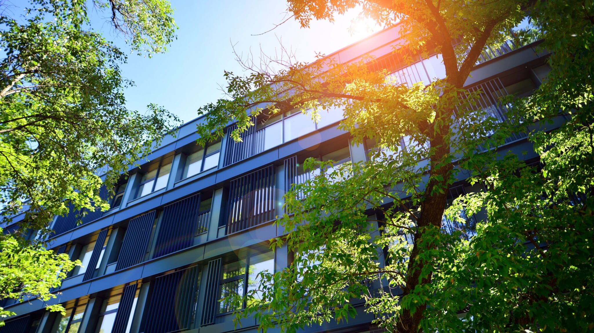 An image of a tree in front of an office building